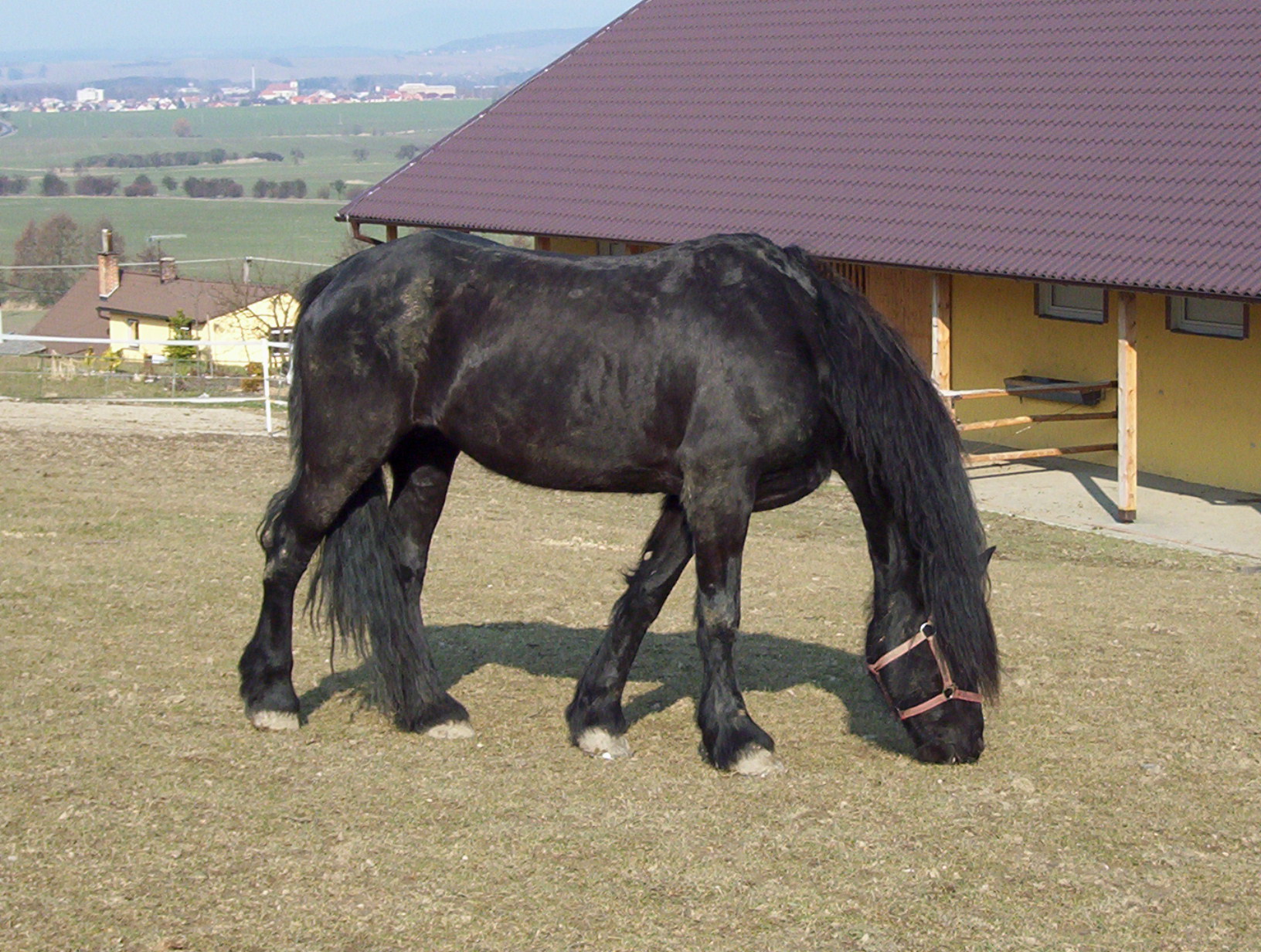 100_1104.JPG
