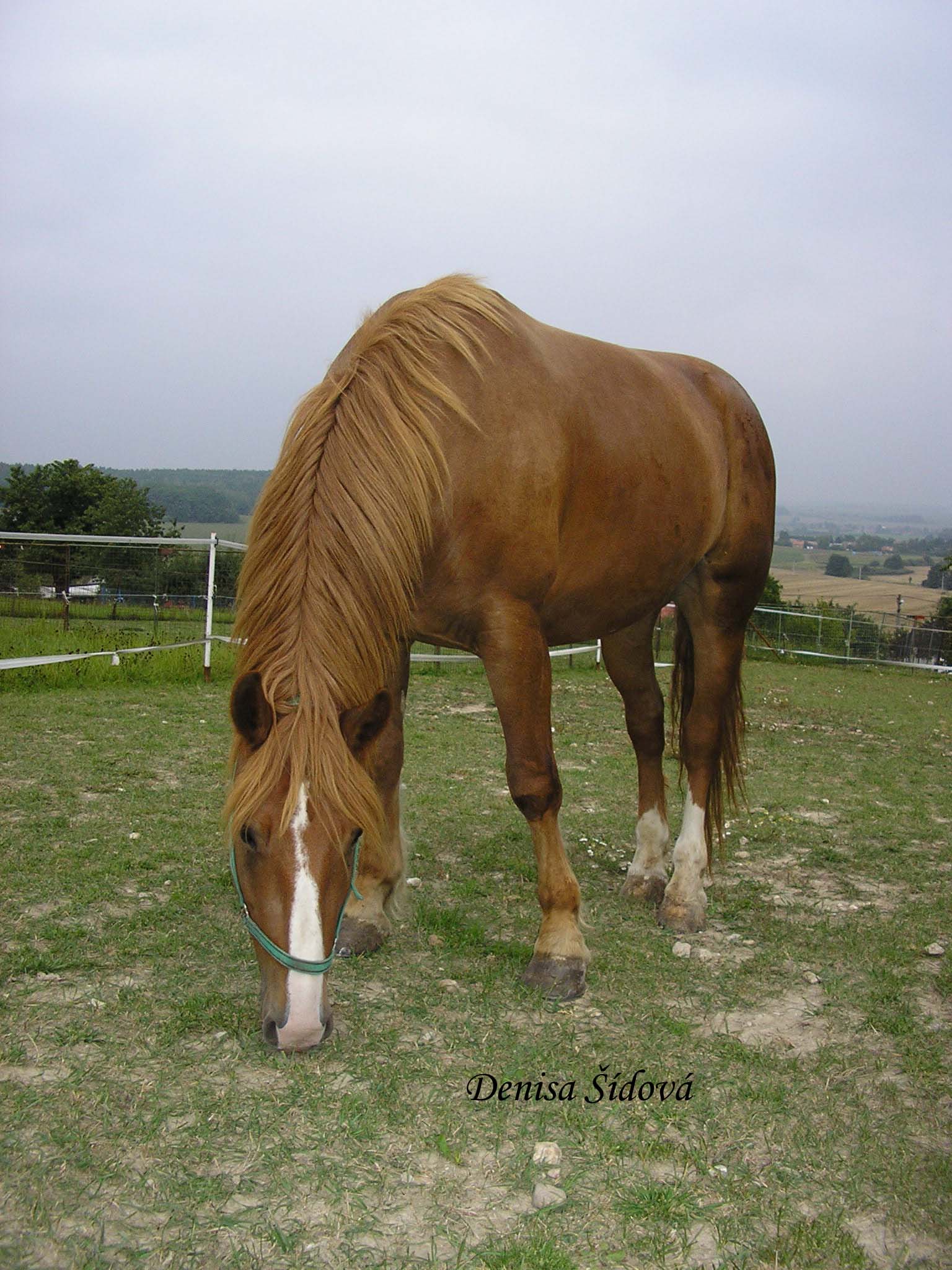 Snímek 144 kopie.jpg