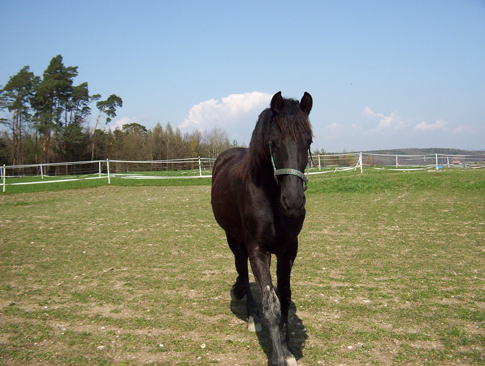 100_1203.JPG